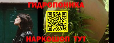 прущие грибы Пенза