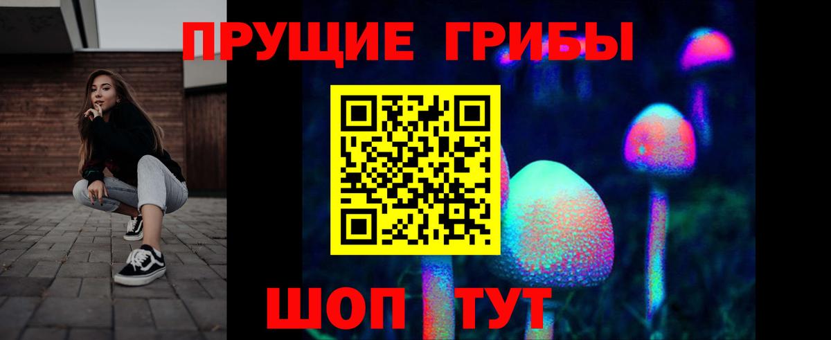Галлюциногенные грибы Psilocybe Заречный